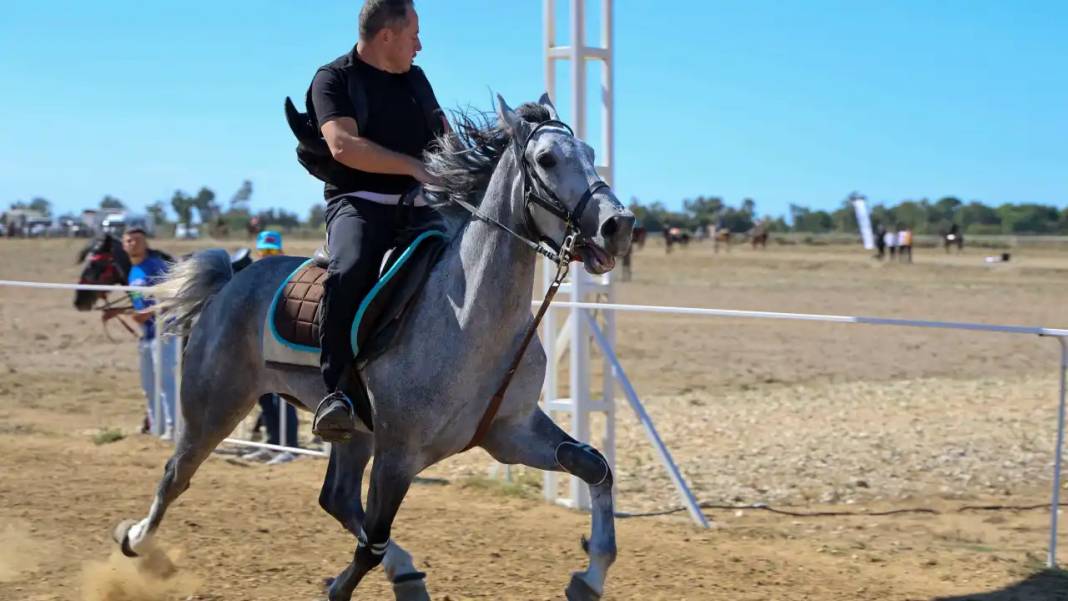 Dört Bir Yandan Atlar Manavgat’ta Yarıştı 1